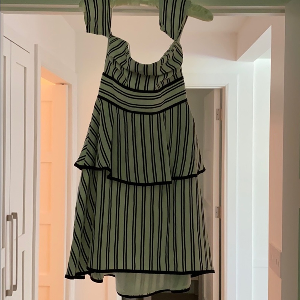 Endless rose dress.